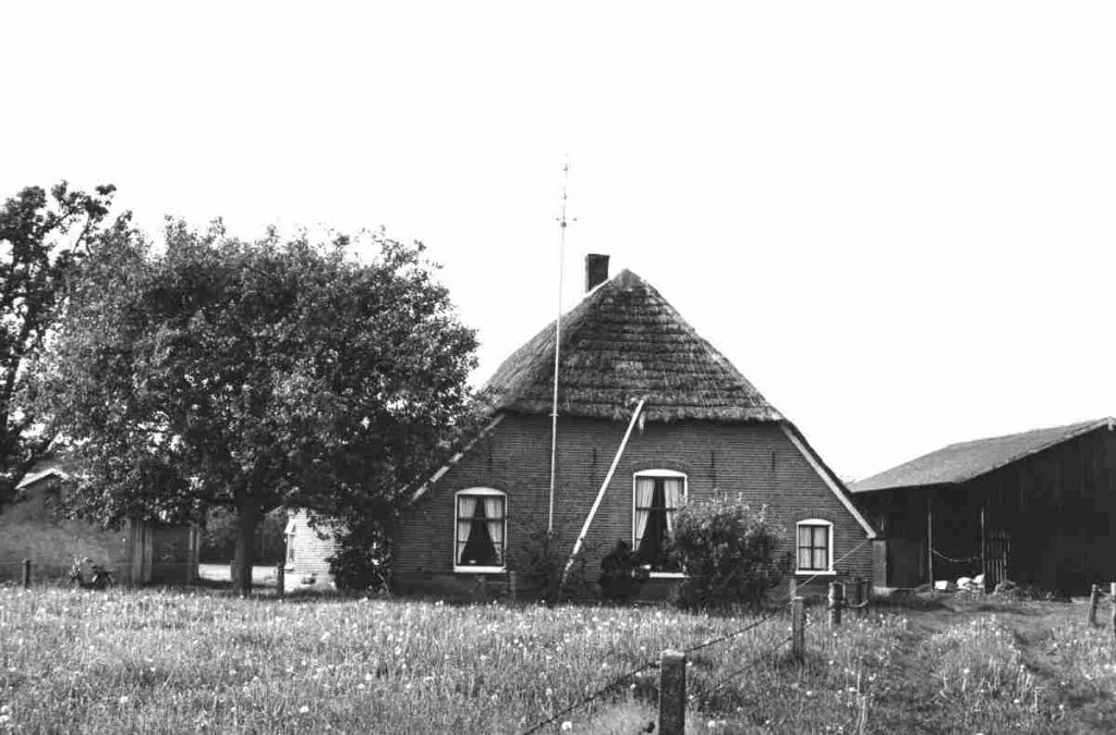 croddendijk-3-grondgeese-li-265